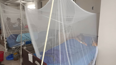 dengue.jpg
