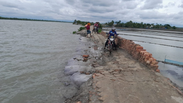 খুলনা