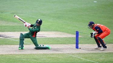 Afif Hossain 