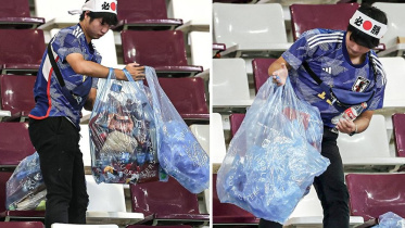 Japan Fan