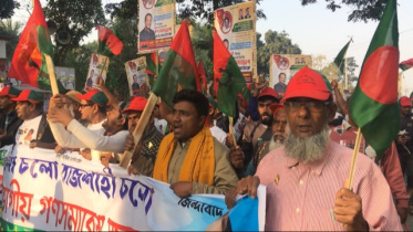 bnp_s.jpg