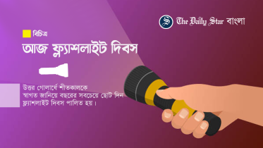 ফ্ল্যাশলাইট দিবস