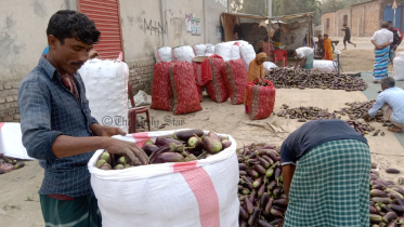 বেগুন.jpg