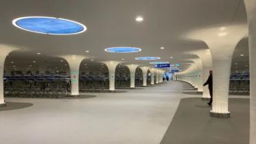 untitled_design_66.jpg