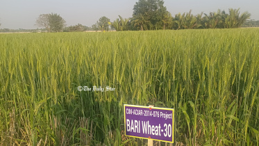 patuakhali_pic_104_08.02.23.jpg