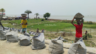 তুলাতলি.jpg