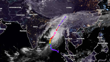 mocha_14may23.jpg