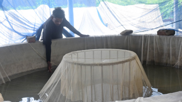 hatchery_6.jpg