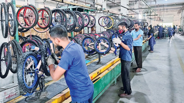 বাইসাইকেল, রপ্তানি উন্নয়ন ব্যুরো, ইপিবি, রপ্তানি,