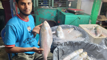 ilish.jpg