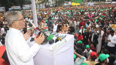 BNP