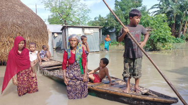 বন্যা