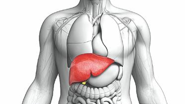 liver_tds.jpg