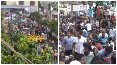 আ. লীগ_বিএনপি.jpg