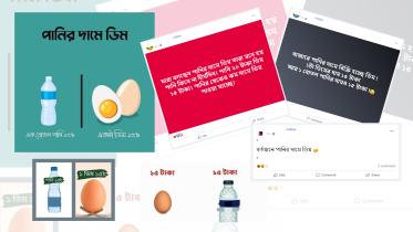 egg-01-01.jpg