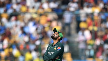 babar_wc.jpg