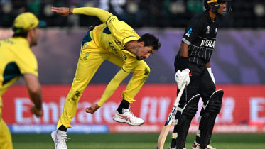 starc.jpg