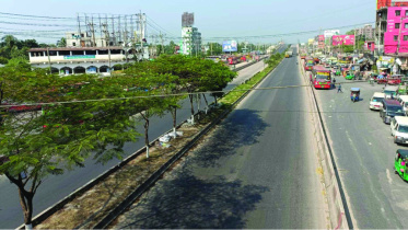 road-01.jpg