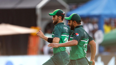 shaheen and haris