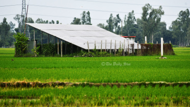 সৌরসেচ