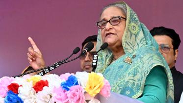 নৌকায় ভোট দিয়েছিলেন বলেই আজকের বাংলাদেশ ডিজিটাল: প্রধানমন্ত্রী