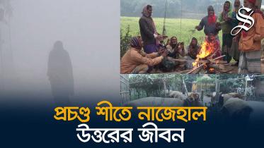 মাল্টিমিডিয়া.jpg