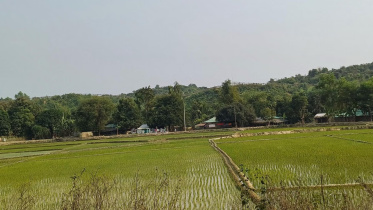 baandrbaan.jpg