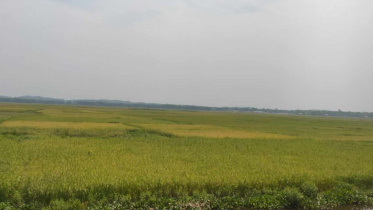 হাকালুকি.jpeg