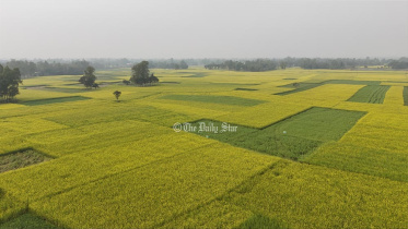 chalanbeel_1.jpg
