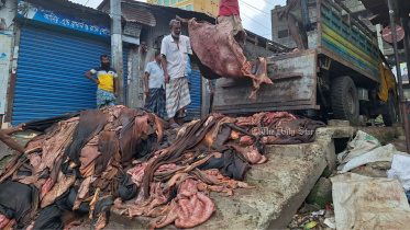 cows_skin.jpg