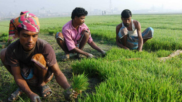 ২০২৪-২৫ অর্থবছর, জিডিপি প্রবৃদ্ধি, মোট দেশজ উৎপাদন, মাস্টারকার্ড ইকোনমিক ইনস্টিটিউট,