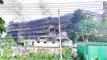 নাশকতা ও সন্ত্রাস বিমা, বিমা, শেখ হাসিনা, গণঅভ্যুত্থান,