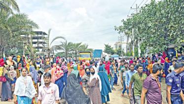 পোশাক শিল্প