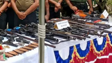 firearms.jpg
