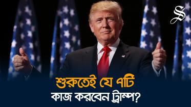 trump_multimedia_9nov24.jpg