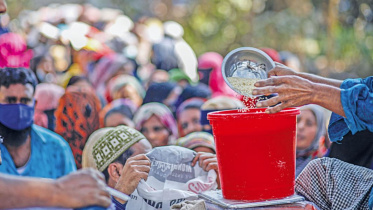 food_distribution.jpg
