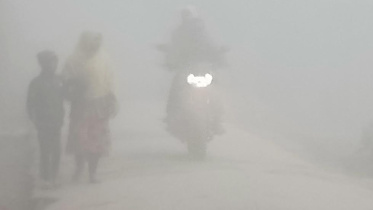 winter_morning.jpg