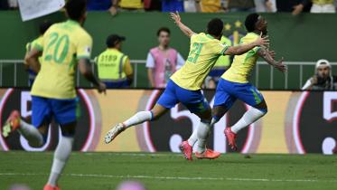 vini_brazil.jpg