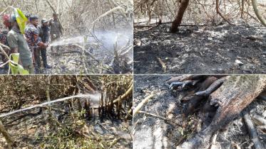 sundarban_fire.jpg