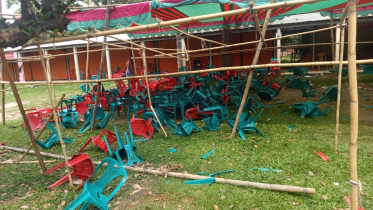 বিএনপি
