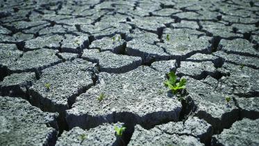 drought-01.jpg
