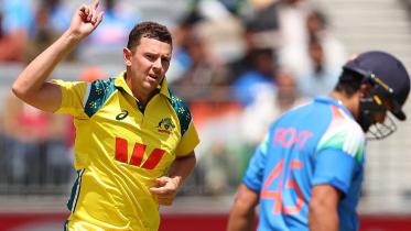 hazlewood and rohit