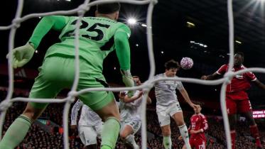 maguire