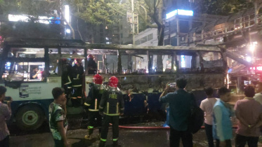 miscreants_set_a_bus_on_fire_1.jpg