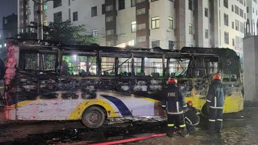 bus.jpg
