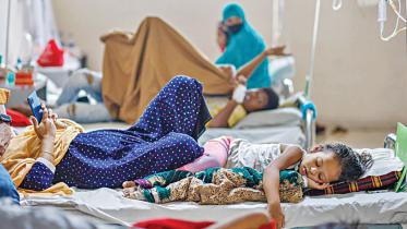 dengue.jpg