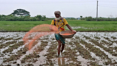fertilizer.jpg