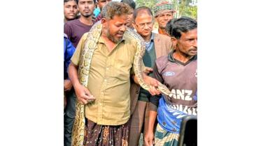 python-kurigram.jpg