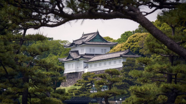 japan6.jpg