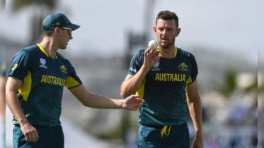 josh hazlewood